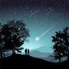 Rose Venom、toast - Stars are falling (Explicit)