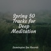 Nature Chillout、Natural Nature Makers、Namaste Healing Yoga《Welness and Calmness》[MP3/LRC]