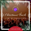Frigid Flame、Platonic Mixes - Club Lights Turn (ChristmasMixed)