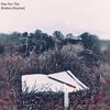 Dan Morris - One For The Broken Hearted