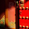 伶然而行 - 紫禁城里的似水流年
