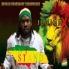 Junior X《Can't Stand》[MP3/LRC]