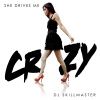 DJs From Mars、DJ Skillmaster - She Drives Me Crazy (DJs from Mars Single Edit)
