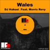 Morris Revy、Dj Hakuei《Wales (Extended Mix)》[MP3/LRC]