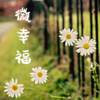 素颜微尘 - 不必在乎我是谁