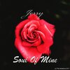 Jerry - Soul of Mine