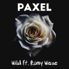 Romy Wave、paxel《Wild (feat. Romy Wave)》[MP3/LRC]