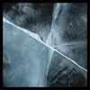 TH Moy - Revelations