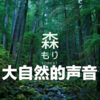 北野之森 - 大自然的声音：天然坝口