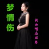 应丽琴 - 梦情伤