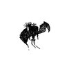 DNFJAY、John Onderlinde - ABSENT MINDED