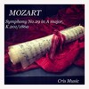Arturo Toscanini、rudolf serkin - I. Allegro moderato