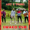 Art2tonic - Ewako PSM