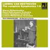 London Philharmonic Orchestra、Felix Weingartner、Vienna Philharmonic - Symphony No. 1 in C Major, Op. 21: I. Adagio molto - Allegro con brio