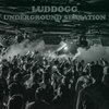 Luddogg - Download (Intro Edit)