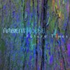 Ambient House - The River's Song