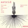 Astrid - Through the Darkness Of Your Life