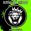 Buddha Bar Chillout - Contra Cultura