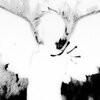 Chezr - How Does It Feel? (Explicit)