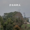 成成 - 多利亚的忧伤 (琵琶)