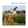 Walter Trout - Maybe A Fool