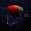 Neon Pearl - De Stilte