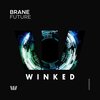 Brane - Future