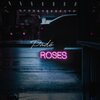 Padé - Roses (Radio Edit)