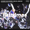 Chacel、Macon、Selva、Sander van Doorn - Raindrops (feat. Chacel)