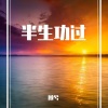 顾兮 - 半生功过