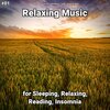 Relaxing Music by Terry Woodbead、Yoga、Relaxing Music - Relaxing Music Pt. 1