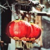 小vie - 新幽兰梦