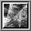 Julian Maier-Hauff - April 16