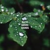 Baltic Nature Sounds - Cold Rain