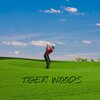Lo$i、Malosi Kaimikaua - TIGER WOODS