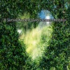 自然 - 精彩生活