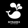 Bitrarex - Can't You See