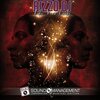 Rizzo DJ - Take Your Body (Radio Edit)