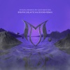 Roman Messer、Richard Bedford、Delaitech - Breathe (Delaitech & Seven24 Remix)