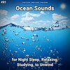 Ocean Currents、Nature Sounds、Ocean Sounds - Ocean Sounds Pt. 1