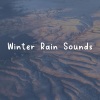 Thunderstorm - Winter Rain Sounds, Pt. 1