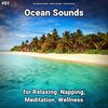Sea Waves Sounds、Nature Sounds、Ocean Sounds - Ocean Sounds Pt. 1