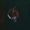 Tim North、Chris Stylez - Earned It (Explicit)