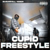DJ MOOSE、DJ LalChino - SugarHill Keem (Cupid Freestyle)(Explicit)(feat. DJ LalChino版)