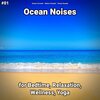 Ocean Currents、Nature Sounds、Ocean Sounds - Ocean Noises Pt. 1