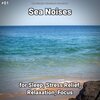 Ocean Currents、Nature Sounds、Ocean Sounds - Sea Noises Pt. 1