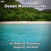 Ocean Currents、Nature Sounds、Ocean Sounds - Ocean Waves Sounds Pt. 1