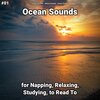 Ocean Currents、Nature Sounds、Ocean Sounds - Ocean Sounds Pt. 1