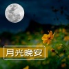 睡眠用 - 月光晚安