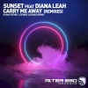 Diana Leah、Ryan K、Sunset - Carry Me Away (Ryan K Remix)